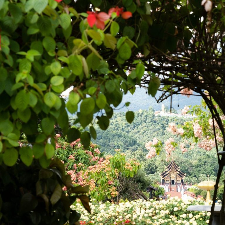 Thai-Massage-Therapeutin Bild Natur Thailand